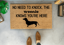 Fun Dachshund Dog Pattern Pet Food Mat