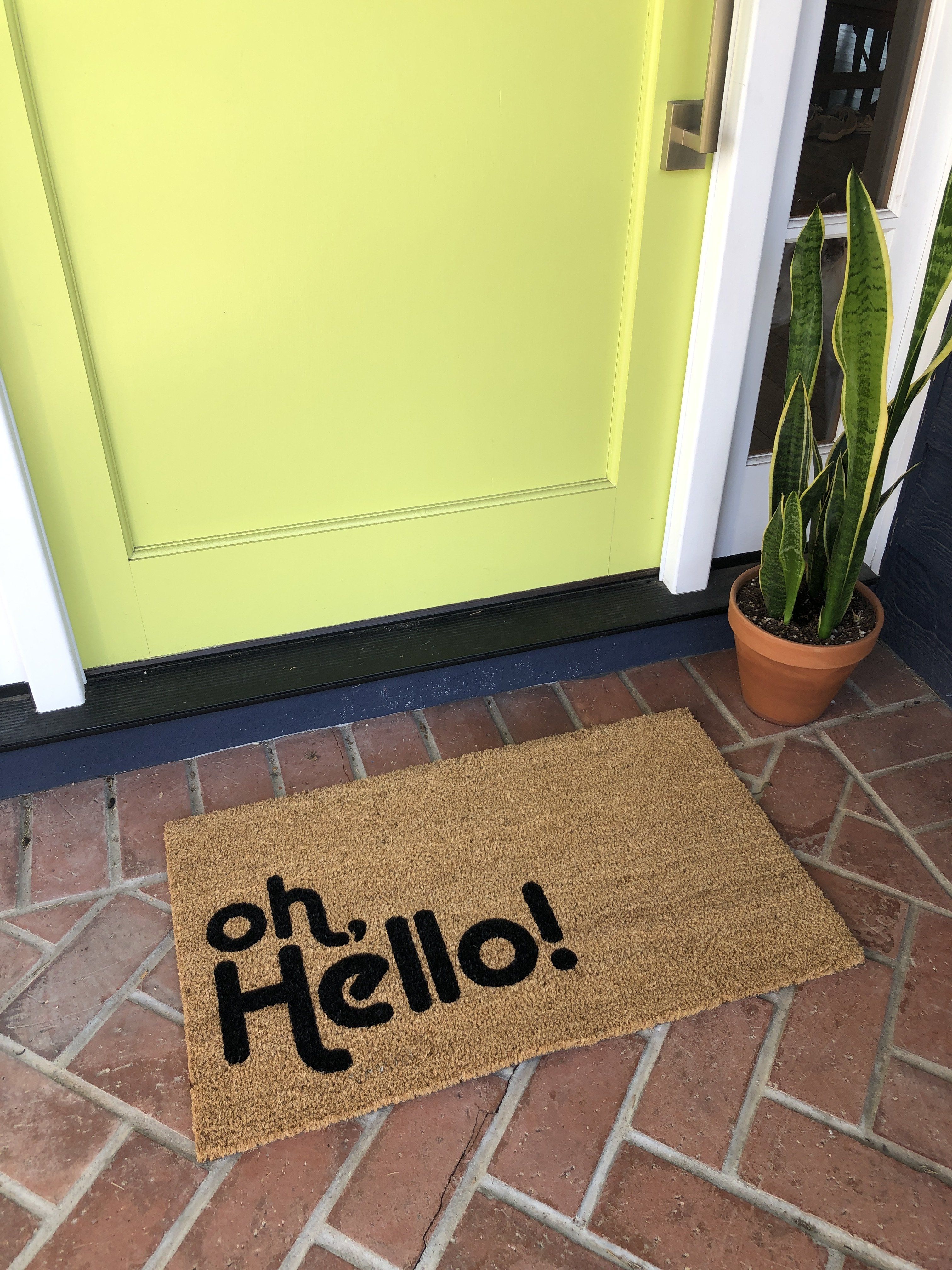 Well Hello There Door Mat, Housewarming Gift, Gift for New Home, Front Door  Mat, Funny Doormat, Outdoor Layeri Rug, Unique Door Mat, Coir 