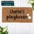Doormat - Custom Children's Playhouse Doormat