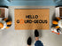 Hello Gourd-geous Funny Fall Doormat
